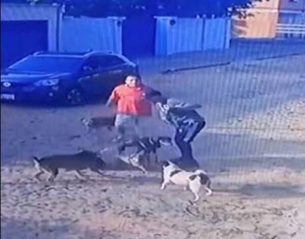 [VIDEO] Agredió a paseador de perros y le rajó de la calle