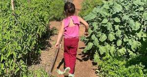 La Nación / Invitan a una actividad diferente en “Huerta abierta”