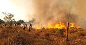 La Nación / Incendios forestales sumen en tinieblas a una región boliviana