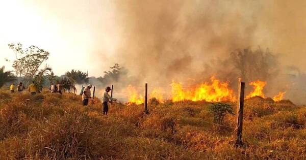 La Nación / Incendios forestales sumen en tinieblas a una región boliviana