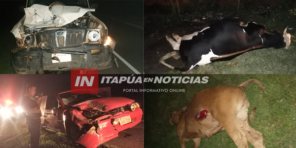DOS ANIMALES VACUNOS MUERTOS POR SALIR A LA RUTA EN GENERAL DELGADO - Itapúa Noticias