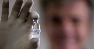 La Nación / Calixcoca, desarrollan en Brasil una vacuna “anticocaína”