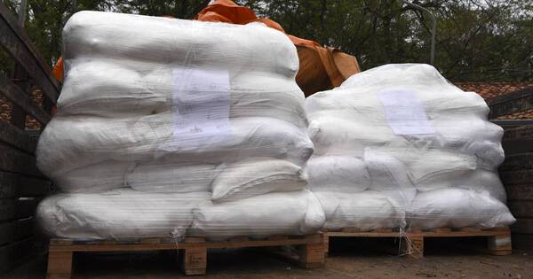 La Nación / Gremios arroceros repudian contaminación de carga por el narcotráfico