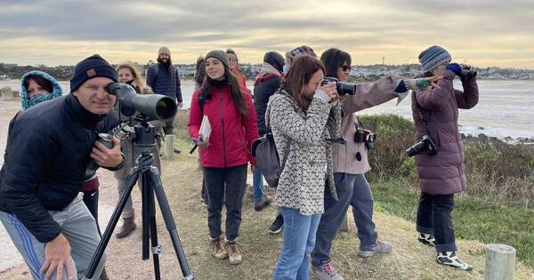 La Nación / Uruguay recibió más de 2,7 millones de turistas este año