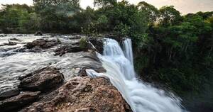 La Nación / Carrera por salvar la Amazonía deja de lado al Cerrado