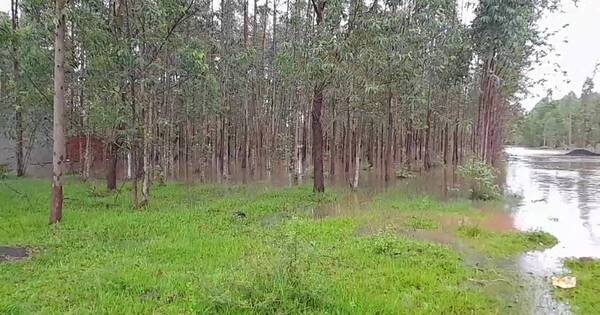 La Nación / Evacuan a familias afectadas por desborde de arroyo en Caazapá
