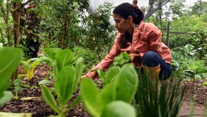 Huerta abierta para vivir una experiencia agroecológica
