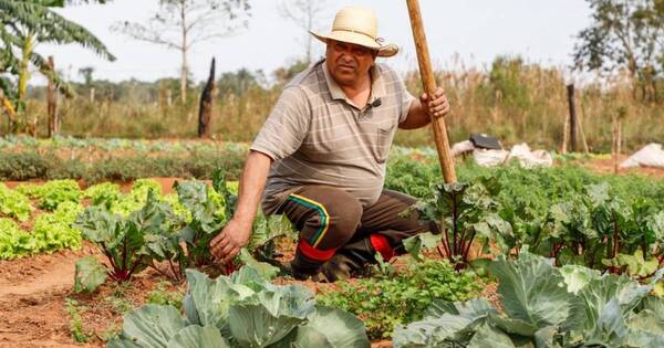 La Nación / En fincas agrícolas cosechan agua de lluvias para enfrentar la sequía