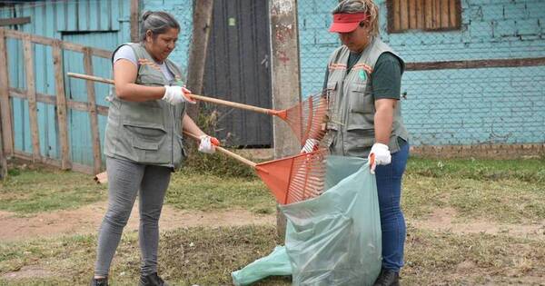 La Nación / Mades declara contingencia ambiental ante aumento de casos de arbovirosis