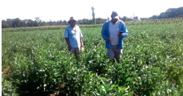 La Nación / Cosecha de agua de lluvias en fincas, una alternativa para enfrentar la sequía