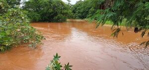 Advierten sobre importante aumento del nivel del río Paraná  - ABC en el Este - ABC Color