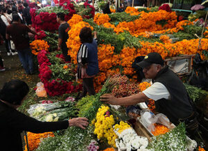 Comerciantes mexicanos esperan que ventas "revivan" durante celebración del Día de Muertos - MarketData