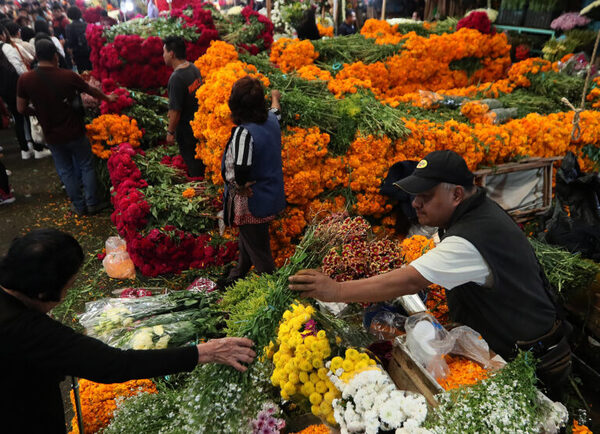 Comerciantes mexicanos esperan que ventas "revivan" durante celebración del Día de Muertos - MarketData