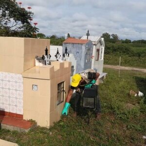 Senepa intensifica acciones de vigilancia y control para días de “Todos los Santos y Fieles Difuntos” - ADN Digital