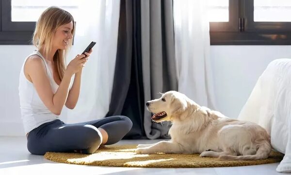 Perros: Preparar el hogar para su llegada - Mascotas - ABC Color