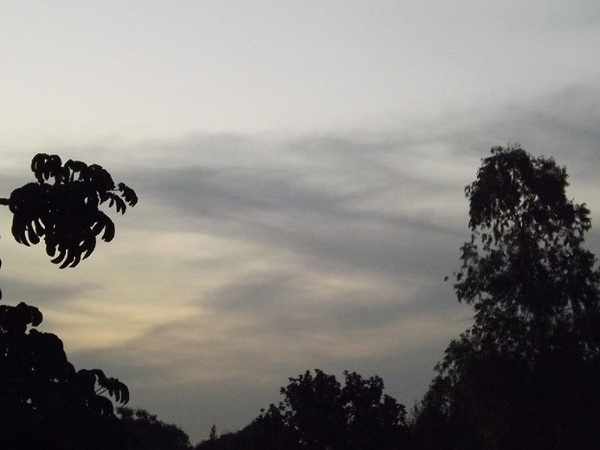 Tome un paraguas, hay alerta meteorológica - La Tribuna