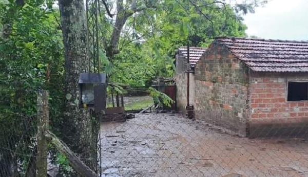 Fue al chiquero para ver a sus cerdos y murió electrocutada con ellos - Noticiero Paraguay