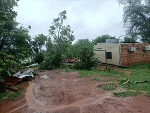 Diario HOY | Confirman que fue un tornado lo que llegó a Mbocayaty del Yhaguy