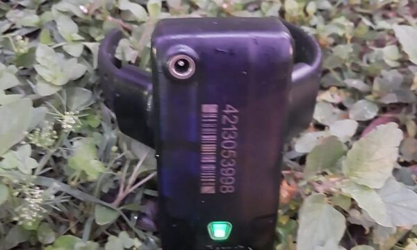 Diario HOY | Agentes policiales encuentran una tobillera electrónica