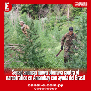 Senad anuncia nueva ofensiva contra el narcotráfico en Amambay con ayuda del Brasil