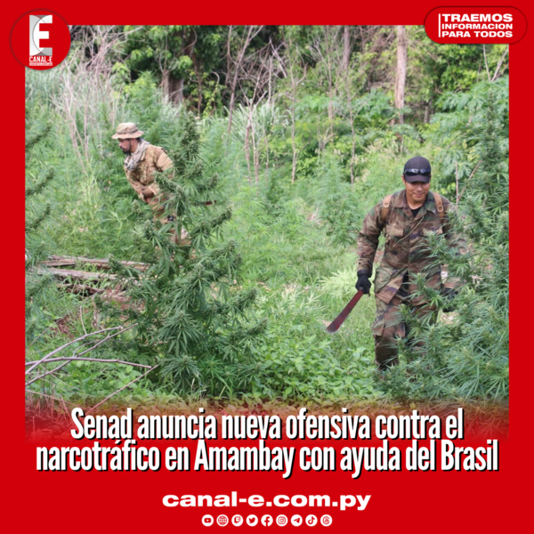 Senad anuncia nueva ofensiva contra el narcotráfico en Amambay con ayuda del Brasil