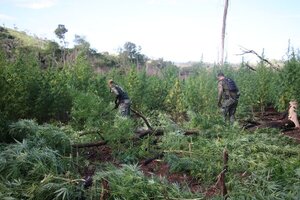Paraguay y Brasil inician nueva ofensiva contra el narcotráfico | OnLivePy