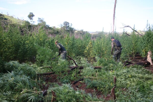 Paraguay y Brasil inician nueva ofensiva contra el narcotráfico | OnLivePy