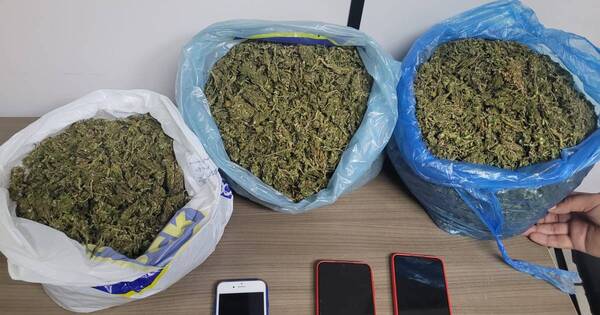 La Nación / Detienen a tres personas por llevar bolsas llenas de presunta marihuana