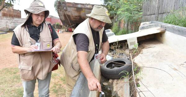 La Nación / Autoridades instan a la ciudadanía a apoyar los trabajos de lucha contra el dengue