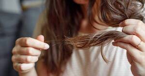 La Nación / Aceites esenciales: estas son las opciones para agregar al champú e hidratar el cabello