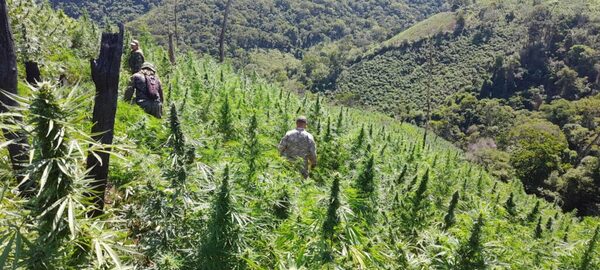 Paraguay y Brasil inician nueva ofensiva contra el narcotráfico en Amambay - ADN Digital