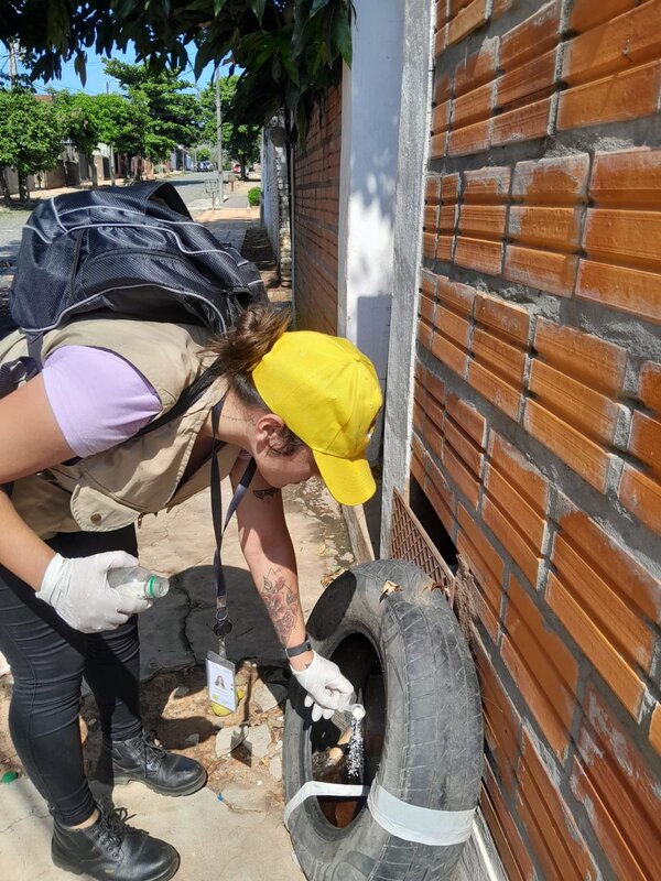 Constatan casi 4.000 criaderos de mosquitos en barrios de Asunción - ADN Digital