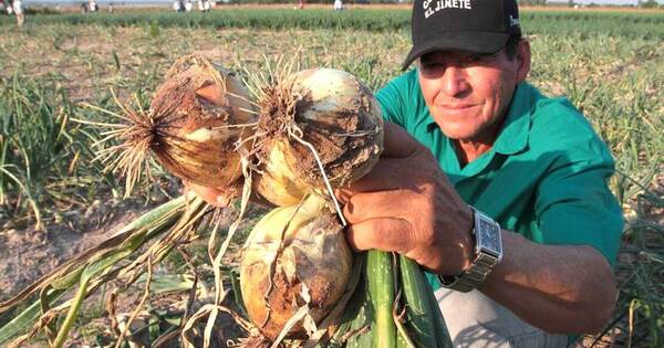 La Nación / Senave y CAH avanzan en creación de fondo fiduciario para productores