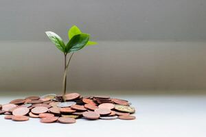 ¿Cuál es el mejor lugar para guardar el dinero?
