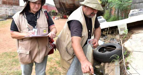 La Nación / Instan a ciudadanía a apoyar la lucha contra el dengue