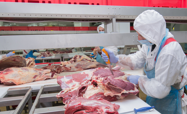 Paraguay normaliza la comercialización de carne con Rusia tras interrupción en sistema de pagos - MarketData