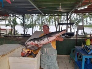 Con variedades de pescados en oferta, instan a aprovechar los últimos días antes de la veda - Nacionales - ABC Color
