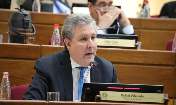 Reasignación a partidos políticos está contemplada por ley, afirma Filizzola