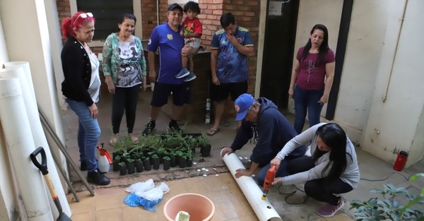 Promueven huertas orgánicas como alternativa de desarrollo económico en Chacarita Alta