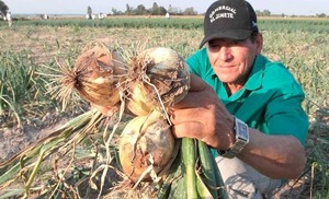 Senave y CAH avanzan en creación de fondo fiduciario para productores
