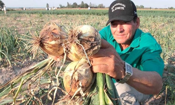 Senave y CAH avanzan en creación de fondo fiduciario para productores
