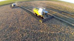 Empresa destaca producción de arroz amigable con el medioambiente y el ecosistema