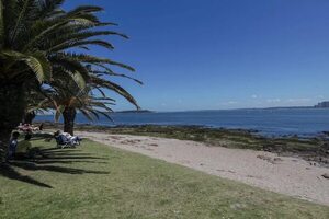 Punta del Este aguarda con “optimismo” por la temporada estival - Viajes - ABC Color