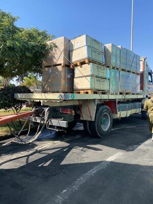 Israel anuncia la entrada en Gaza del mayor convoy de ayuda desde el inicio del actual conflicto - ADN Digital