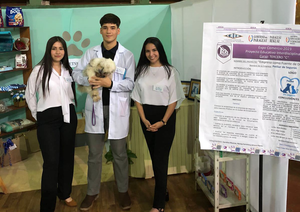 Estudiantes presentan proyectos innovadores en la Expo Comercio del CREE