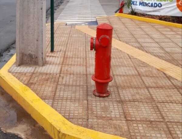 ESSAP instalará bocas hidrantes en puntos estratégicos de la Capital