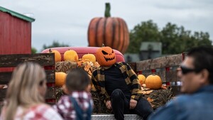 Noche de Brujas: ¿Qué se festeja en Halloween el 31 de octubre?