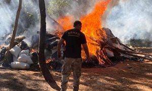 Estos son los 8 factores que convierten a Paraguay en un centro del crimen organizado mundial