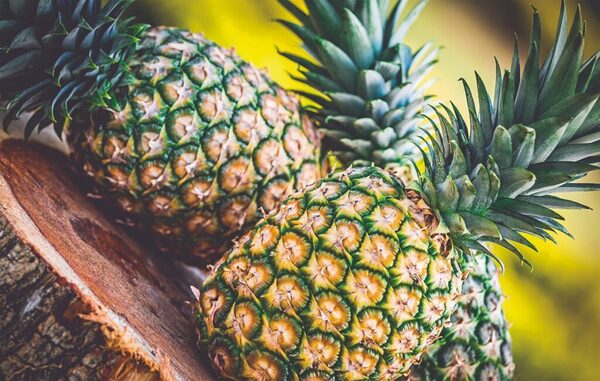 Productores de Horqueta exportarán Piña a la Argentina
