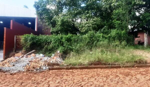 Terreno baldío preocupa a vecinos •